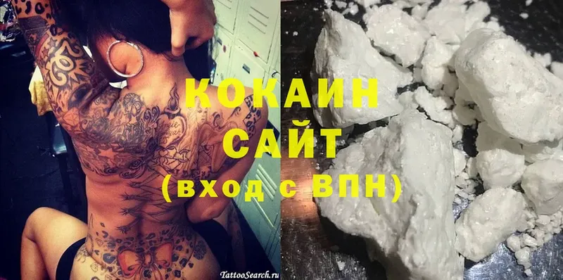 Кокаин Fish Scale  где купить наркотик  Рассказово 